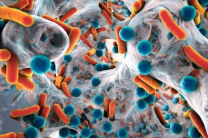 Antimicrobial Coatings Market: Key Players and Competitive Strategies