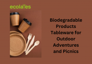Biodegradable Products Tableware for Outdoor Adventures and Picnics