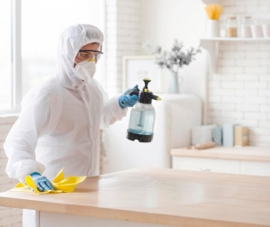 The Importance Of Regular Pest Inspections For Your Home