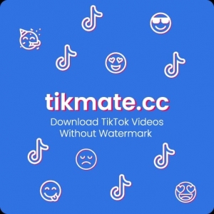 How to Use Tikmate.cc for Video Downloading and Conversion?