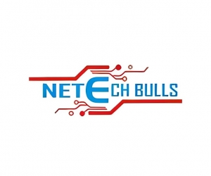 Immersive journey of Netechbull Institute in Gurgaon