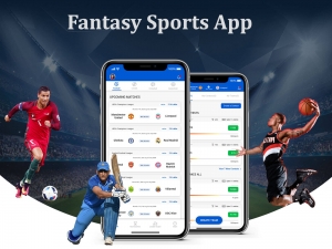 Unleashing the Game-Changer: The Marvels of Dream11 Clone Script