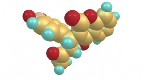 Thrombin Inhibitors: A Revolutionary Approach to Treating Thrombotic Disorders