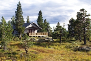 Discover Hidden Gems: Explore Less-Traveled Trails with Scenic Adventure Tours