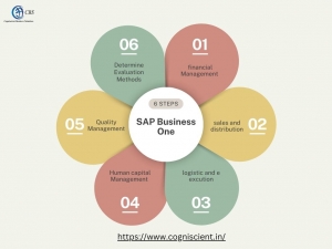 Sap  Business One: Meaning, Modules and Features