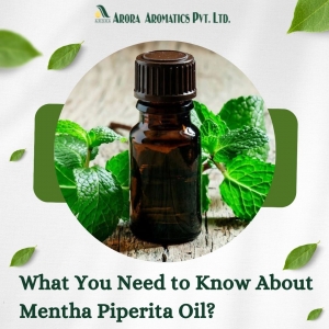 What You Need to Know About Mentha Piperita Oil?