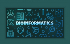 An Introduction to Bioinformatics