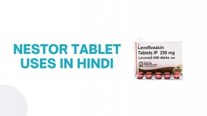 Unveiling the Versatility of Nestor Tablets