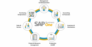 The Role of SAP Business One in Small and Medium Enterprises (SMEs)