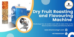 Innovative Dry Fruit Roasting and Flavouring Machine for Blacknut AgriFood