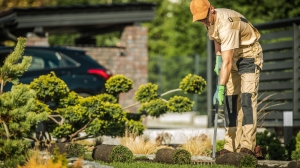 Transform Your Waterloo Backyard into an Oasis -  Embrace Local Trends, Thriving Plants, and Inspiring Projects