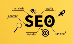 SEO Agency in Jaipur