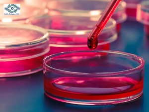 Unveiling the Myths and Facts about DMEM without Phenol Red