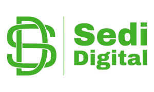 Revolutionizing Digital Marketing: The Success Story of Sedi Digital