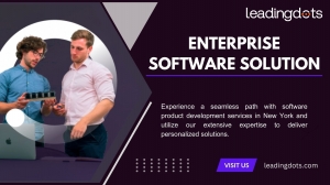 Enterprise Software Solutions | Leadingdots