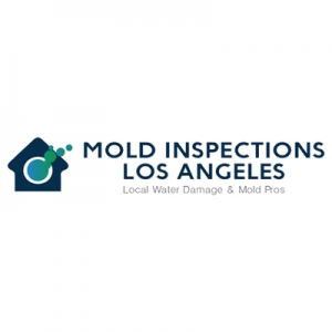 Clearing the Air: The Ultimate Guide to Mold Removal Los Angeles - Your Trusted Mold Removal Service