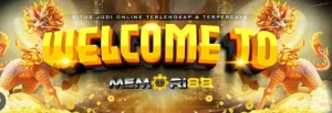 Memori88 Slot: Exploring the Thrill of High-Variance Gameplay