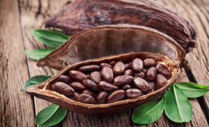 Cacao Market Share, Trend, Segmentation | Forecast 2030 