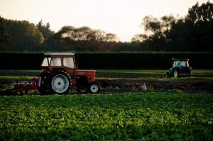 Agriculture's Shift to Eco-Friendly Practices