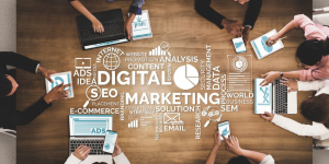 What Do You Expect From a Digital Marketing Agency 