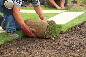 Transform Your Outdoor Space with Expert Landscaping Services in Bournemouth