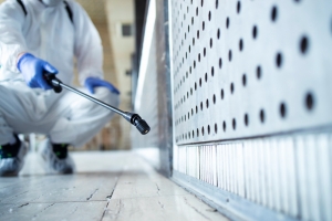 Eco-Friendly Pest Control: A Sustainable Approach in Kingston