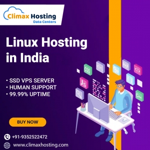 The Smart Choice: Linux Hosting for Indian Entrepreneurs