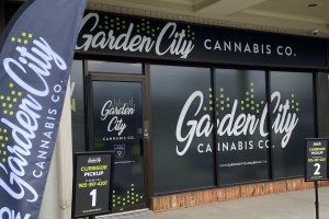 Exploring Fort Erie's Cannabis Scene: Tribal Cannabis and Garden City Cannabis Co.