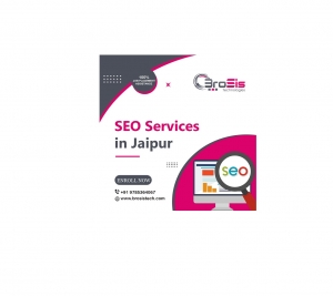 Unlocking Digital Growth: SEO Services in Jaipur