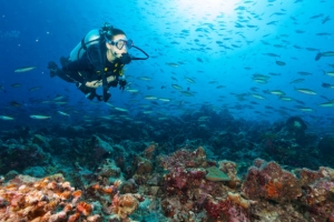 Dive into Adventure: The Best Spots for Scuba Diving in Spain