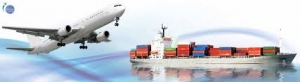 The Choice is Clear with Delhi's Top International Courier Services