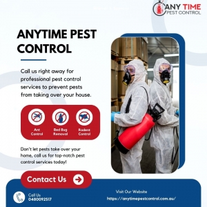 From Ants to Termites: The Ultimate Guide to Pest Control in Brisbane