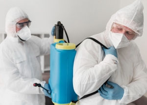 Pest Control Newington