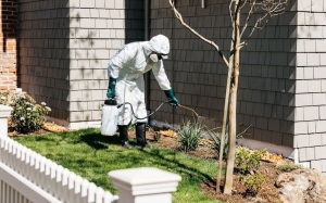 How Often Should I Have My Home Treated for Pests?