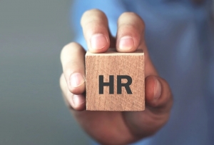 Adapting to Change: Strategies for Success for HR Consultants in the Modern Workplace