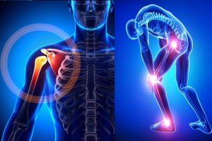 Top 20 Orthopedic Companies in India