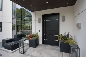 Elevate Your Home's Aesthetics with Modern Entry Doors