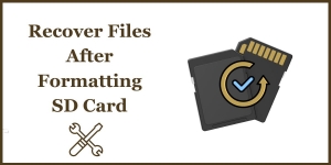 Recover Files After Formatting an SD Card