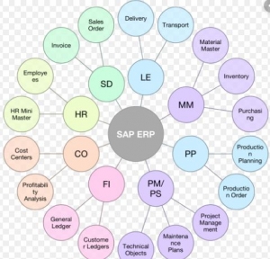 Selecting the Best SAP Module for New Employees | Sap Fico