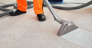 Why Should You Hire A Professional Carpet Cleaning Service Company?