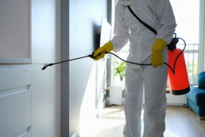 Expert Pest Control Services Islamabad