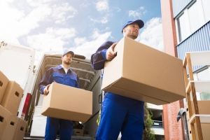 Streamlining Your Move with Professional Moving Companies in Hamilton, NZ