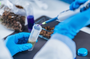 Shelf-life testing Market Growth and Revenue by Forecast by 2031