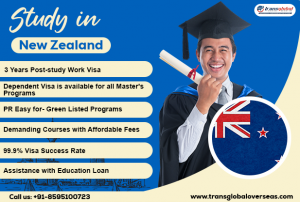 Role of new zealand study visa consultant in Delhi