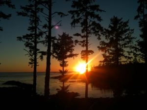 Explore Unforgettable Seclusion: Stunning Vacation Cabins in Ucluelet & Tofino Await!