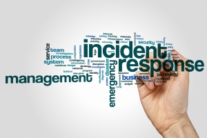 The Art of Recovery: A Deep Dive into Incident Management Services for Business Continuity 