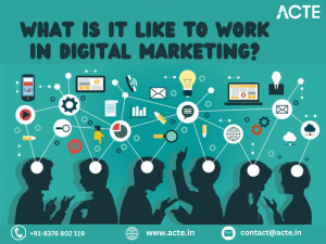 The Dynamic World of Digital Marketing: Where Innovation Flourishes