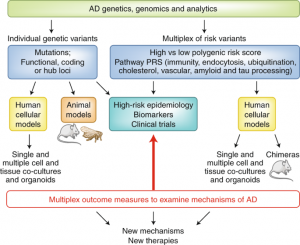 Exploring the Link Between Genetics and Alzheimer's Disease