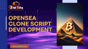 How Have Open Sea Clone Scripts Received Success in the NFT Community So Far?