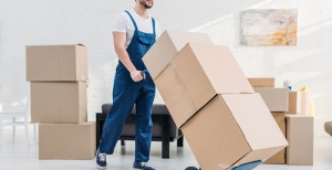 How Can I Choose the Right Packers and Movers for My Specific Needs
